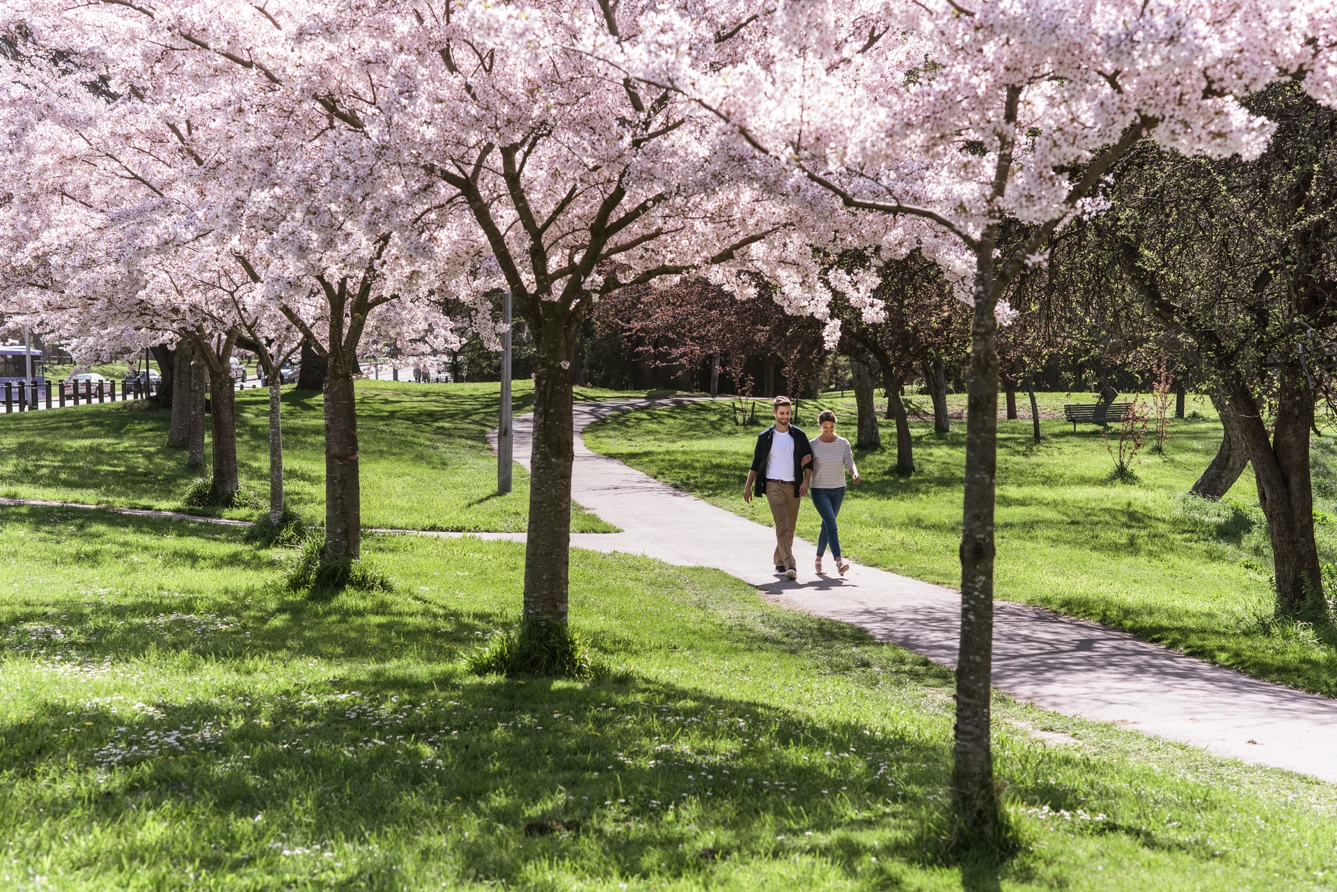 Christchurch