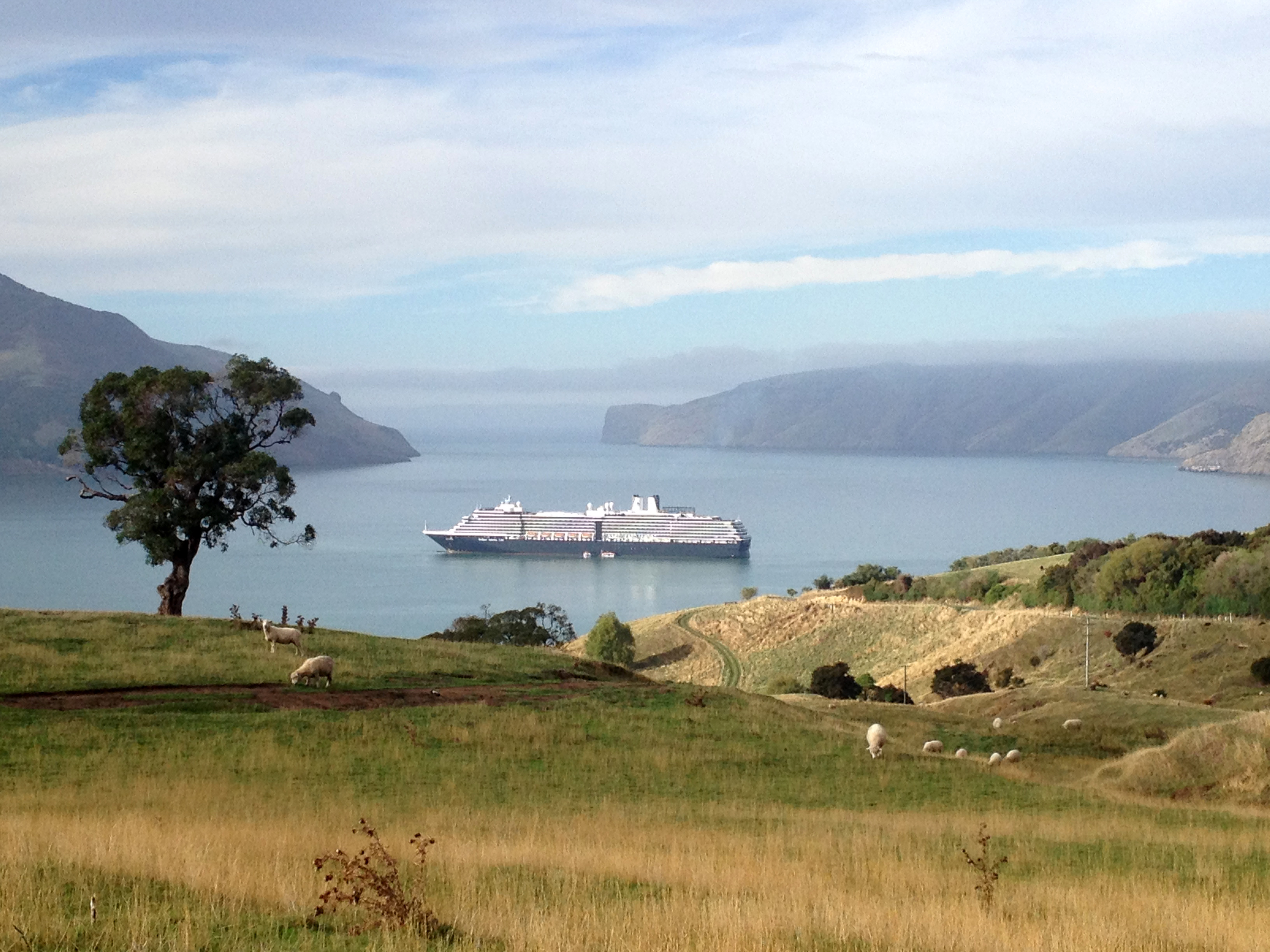 See & Do > Cruise ship