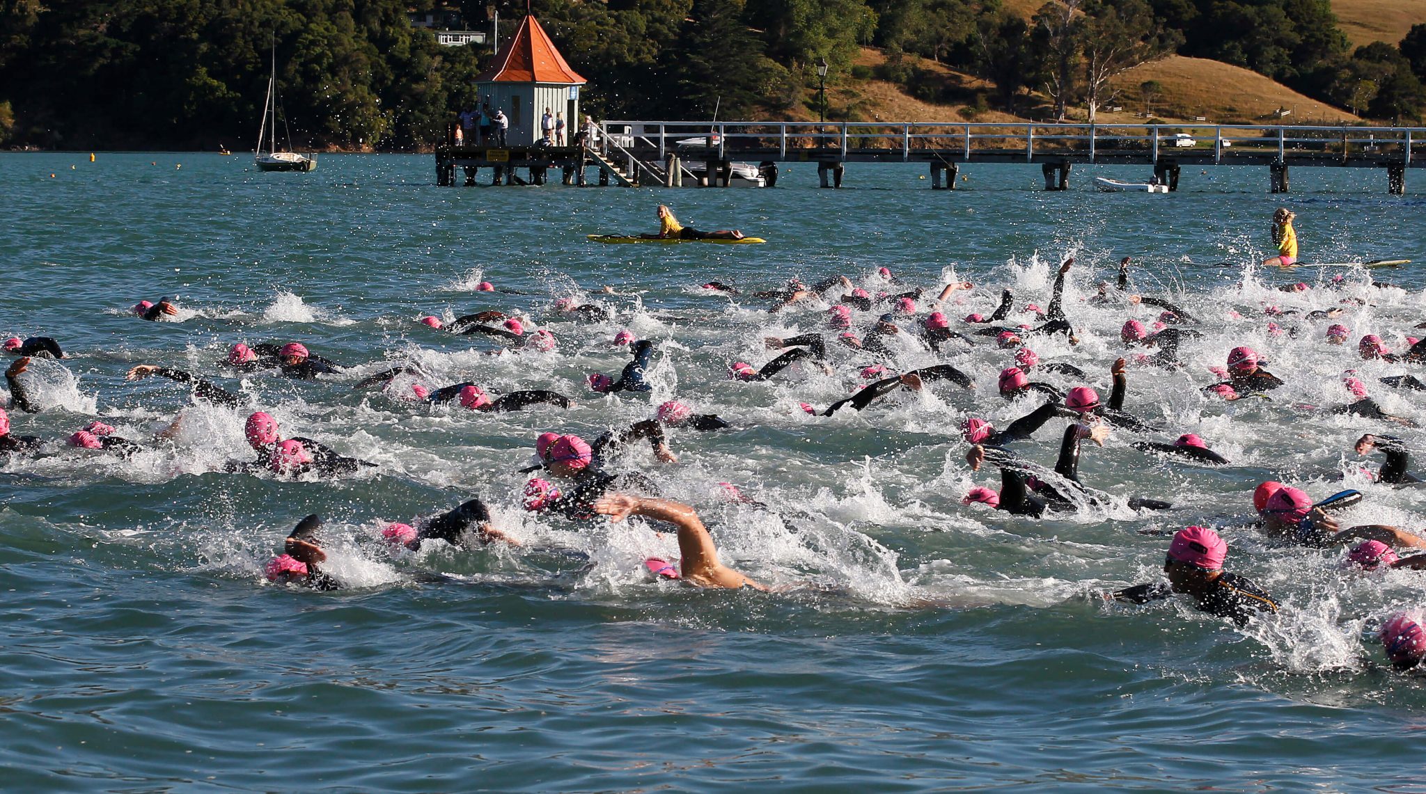 La Grand Swim - Akaroa
